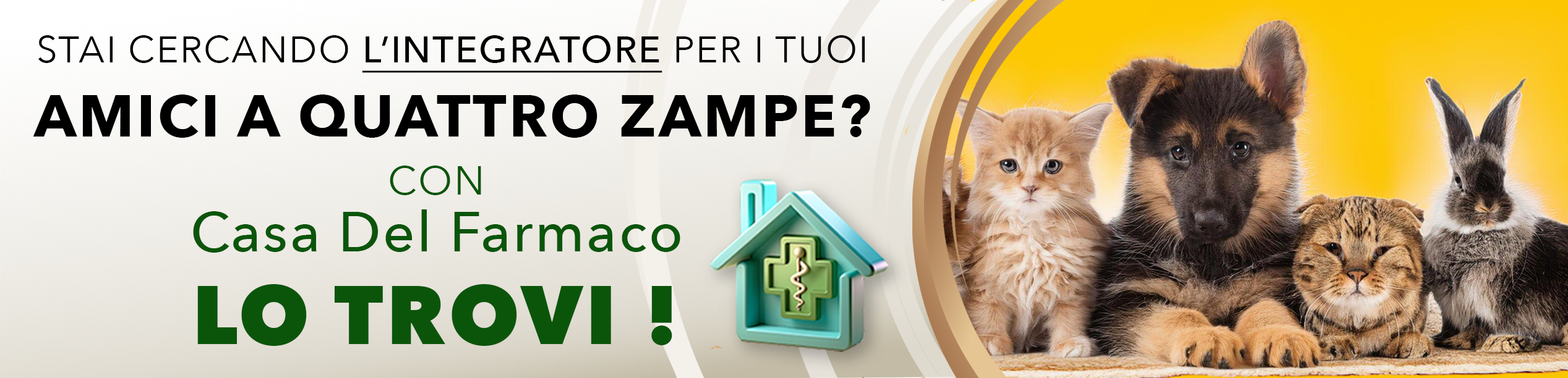 Slide principale